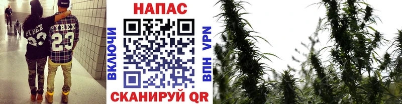 где найти   Игра  Шишки марихуана Amnesia 